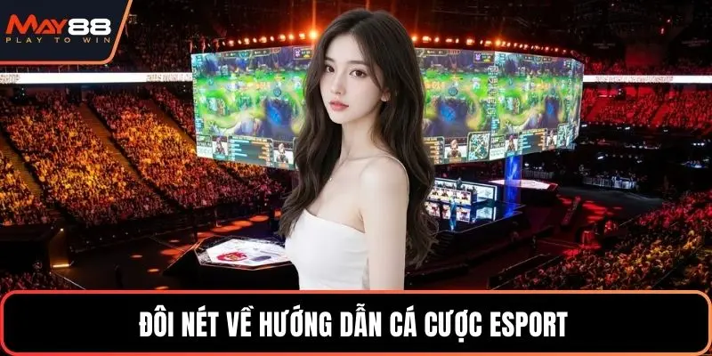 Đôi nét về hướng dẫn cá cược esport 