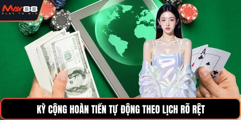 Kỳ cộng hoàn tiền tự động theo lịch rõ rệt
