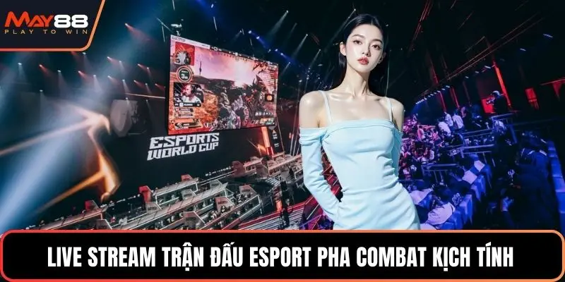 Live stream trận đấu esport pha combat kịch tính 